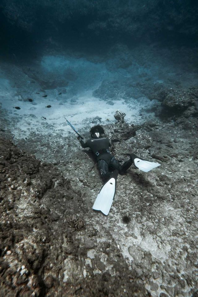 Ni tan relevante, ni tan sostenible; la pesca recreativa submarina.